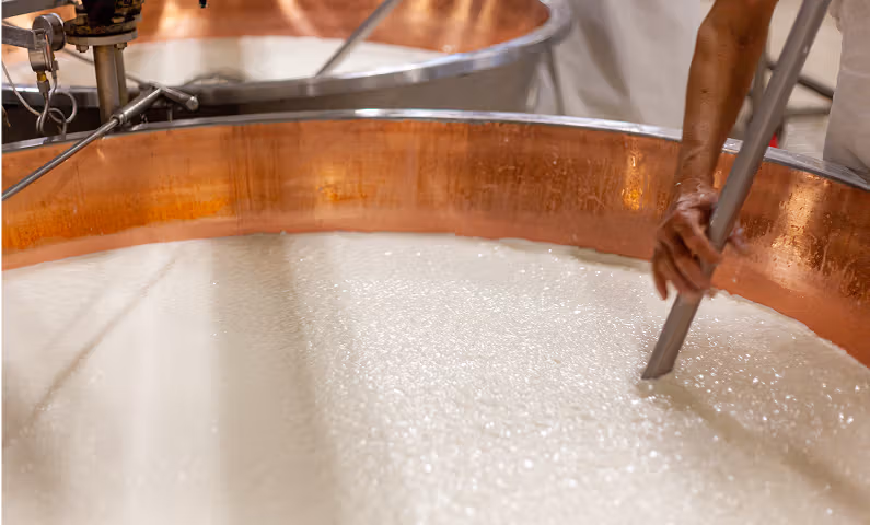 stainless steel dairy processing tanks