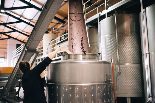 Wine production image